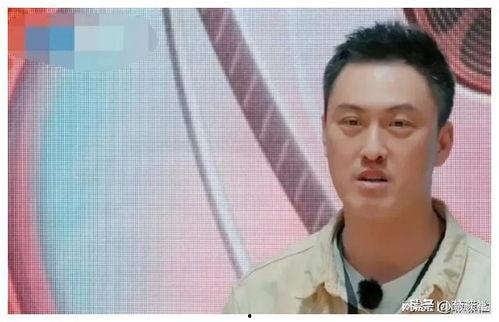 娱乐圈圈内吃瓜的是谁啊,揭秘那些隐藏在幕后的“瓜农”